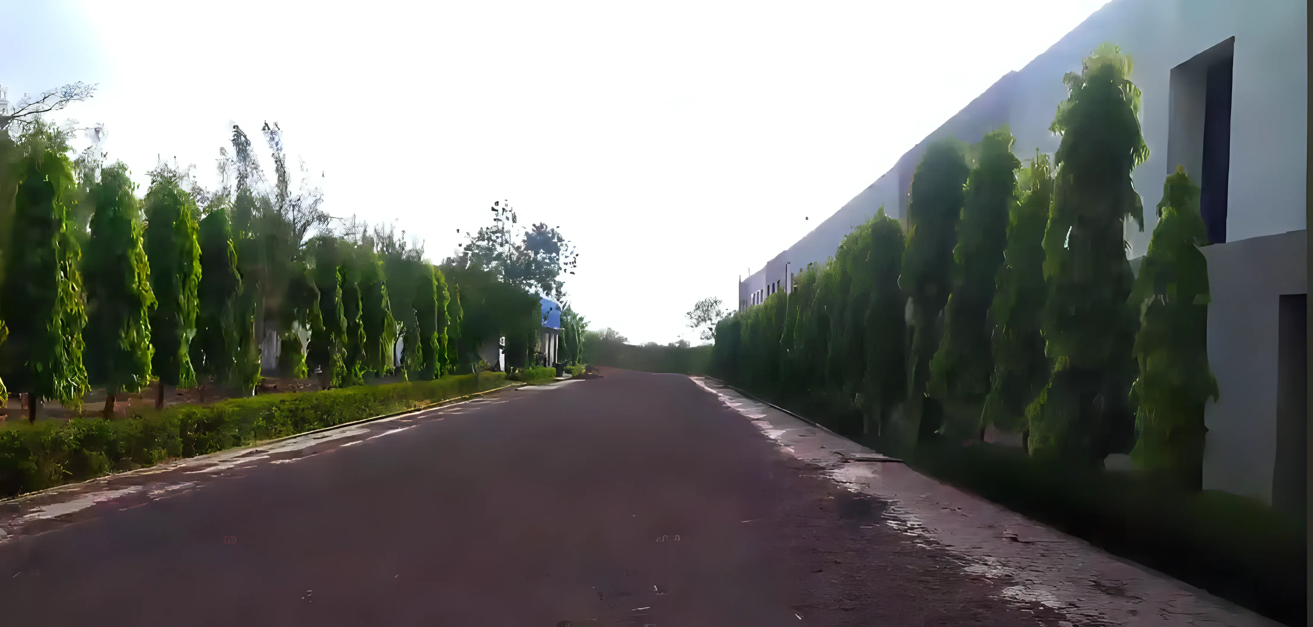 Mahakal Institute of Technology Ujjain Campus photo 12